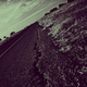 Illustration for article titled Shooting Challenge Gallery: Duotone I